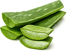 एलोवेरा (Aloe vera) — {{OFFER_NAME}} की जड़ी-बूटी
