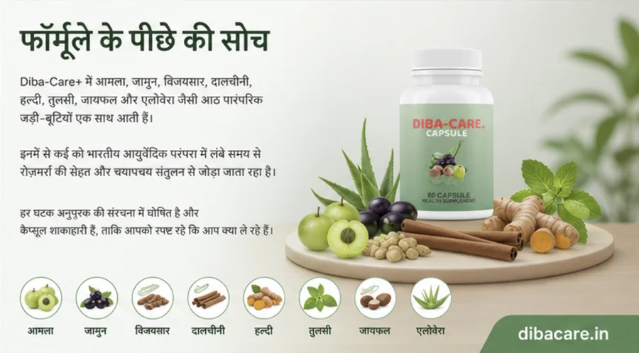 {{OFFER_NAME}} फॉर्मूले की आठ पारंपरिक आयुर्वेदिक जड़ी-बूटियाँ