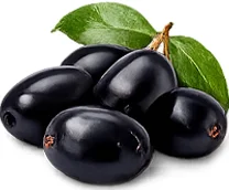 जामुन (Syzygium cumini) — {{OFFER_NAME}} की जड़ी-बूटी
